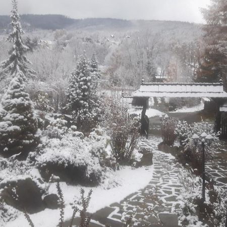 Domek Nad Rzeka Brenna Buitenkant foto